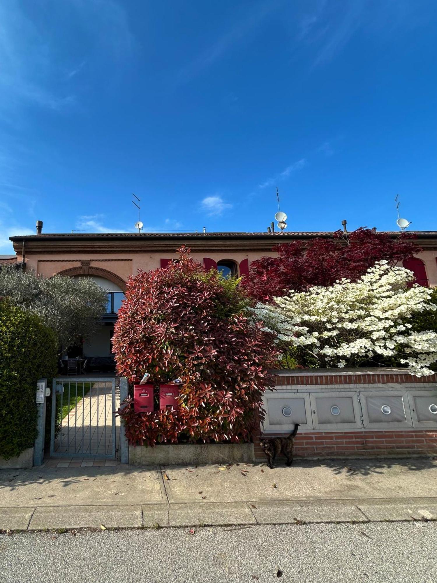 Soranza Suite Castelfranco Veneto Eksteriør billede